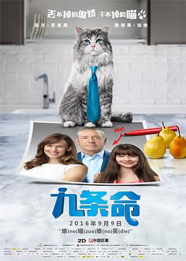 室友俱乐部服务员和小姐